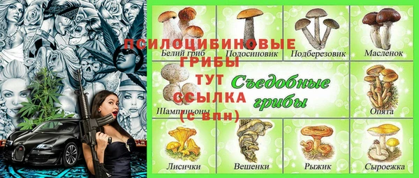 прущие крисы Армянск