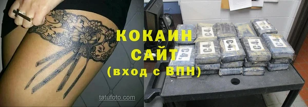 шишки Аркадак