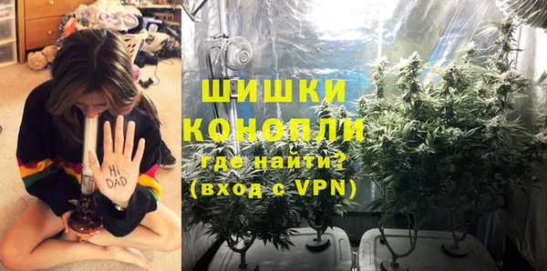 трава Арсеньев