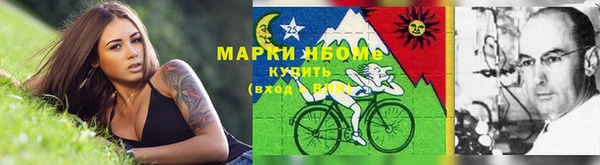 шишки Аркадак