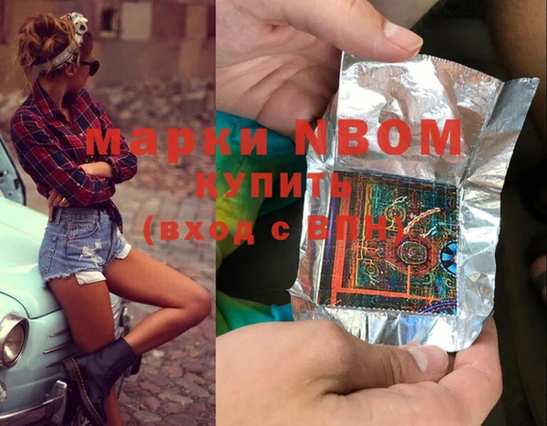шишки Аркадак