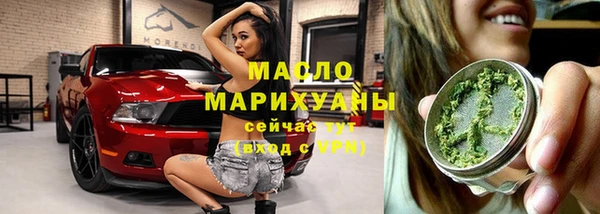шишки Аркадак