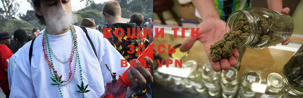 шишки Аркадак